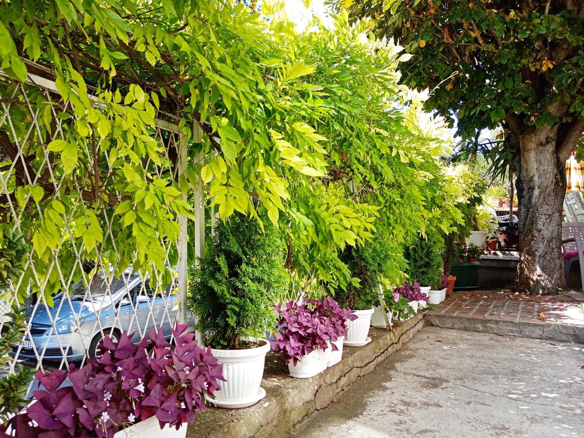 Belgrade Apartment Happy Garden Kültér fotó