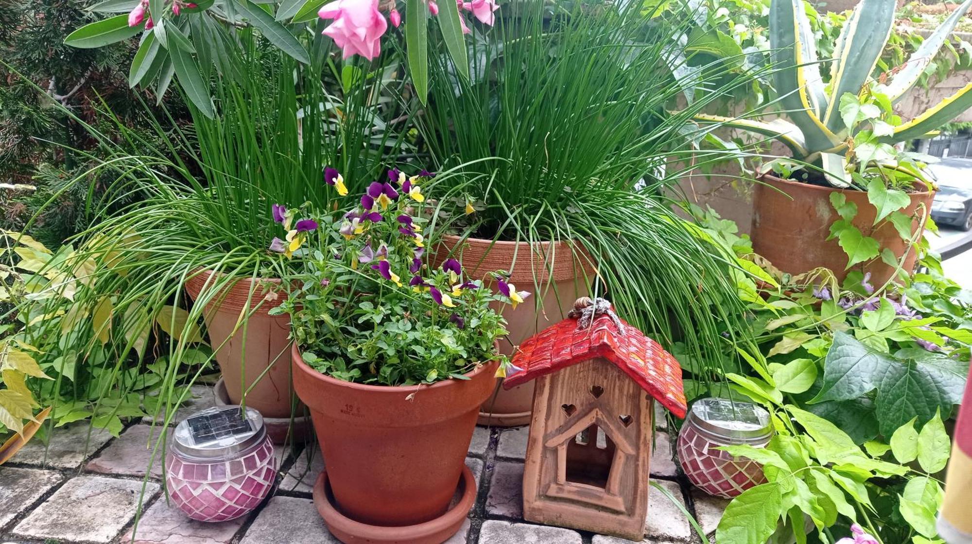 Belgrade Apartment Happy Garden Kültér fotó