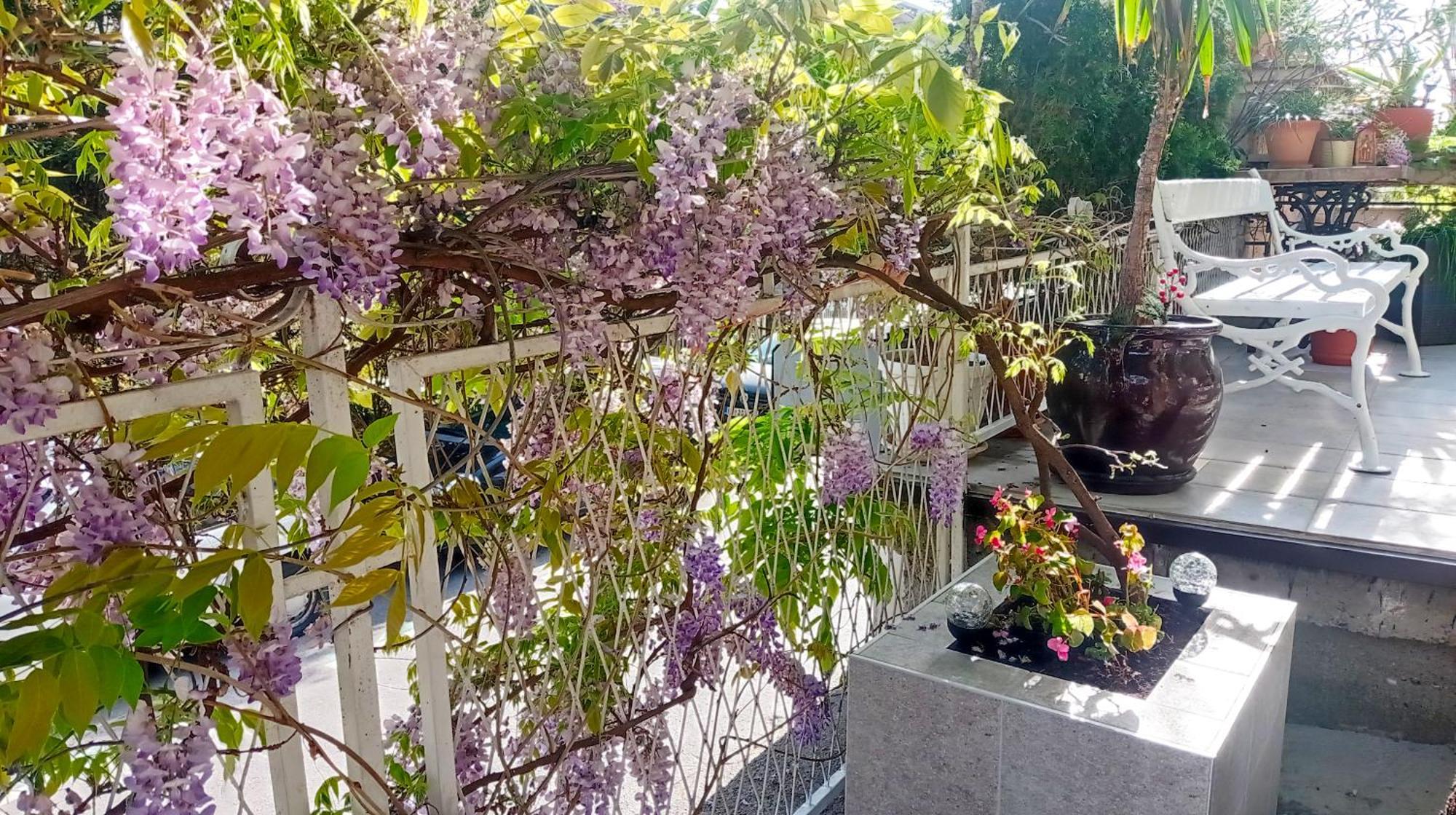 Belgrade Apartment Happy Garden Kültér fotó