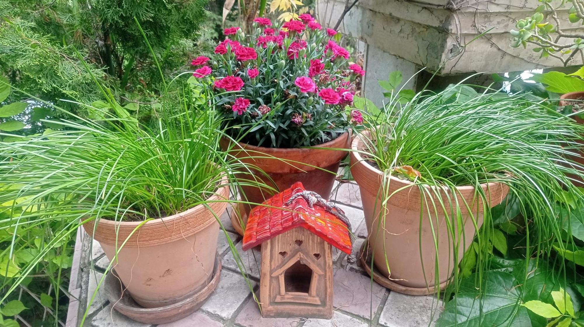 Belgrade Apartment Happy Garden Kültér fotó